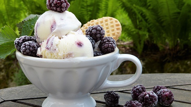 Малокалорийное кокосовое мороженое с зефиром и вяленой клюквой